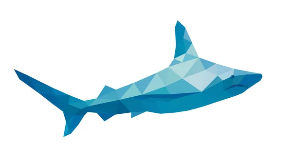 Mnohoúhelník žralok, vektor — Stockový vektor