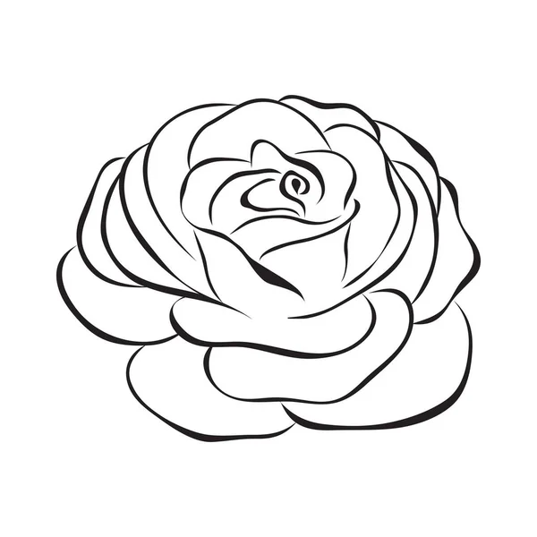 Rose vector icon — Stock Vector