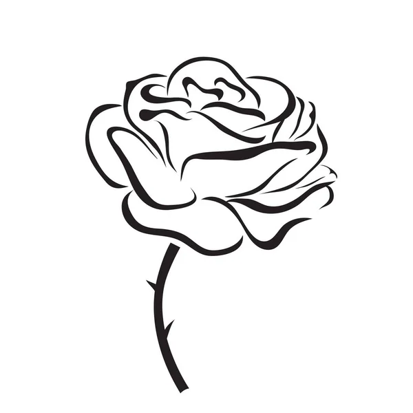 玫瑰矢量图标 — 图库矢量图片
