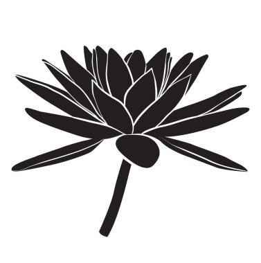 Çiçek nilüfer. Vektör çizgi stili