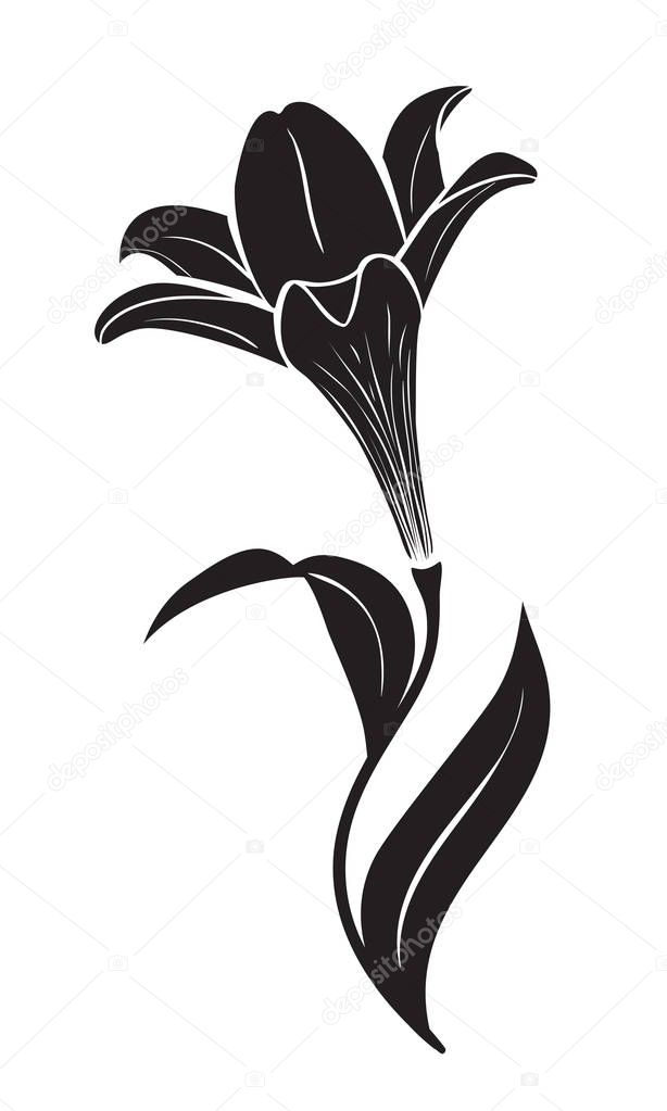 Download Lily flower vector icon — Stock Vector © ColorValley ...
