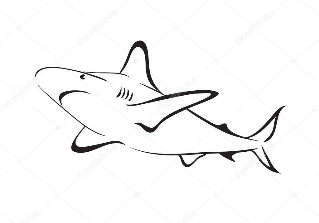 Free Free 263 Shark Outline Svg SVG PNG EPS DXF File