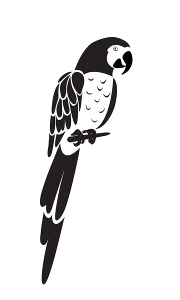 Векторный символ попугая — стоковый вектор