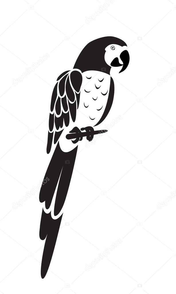 Parrot icon isolated on white background. Vector