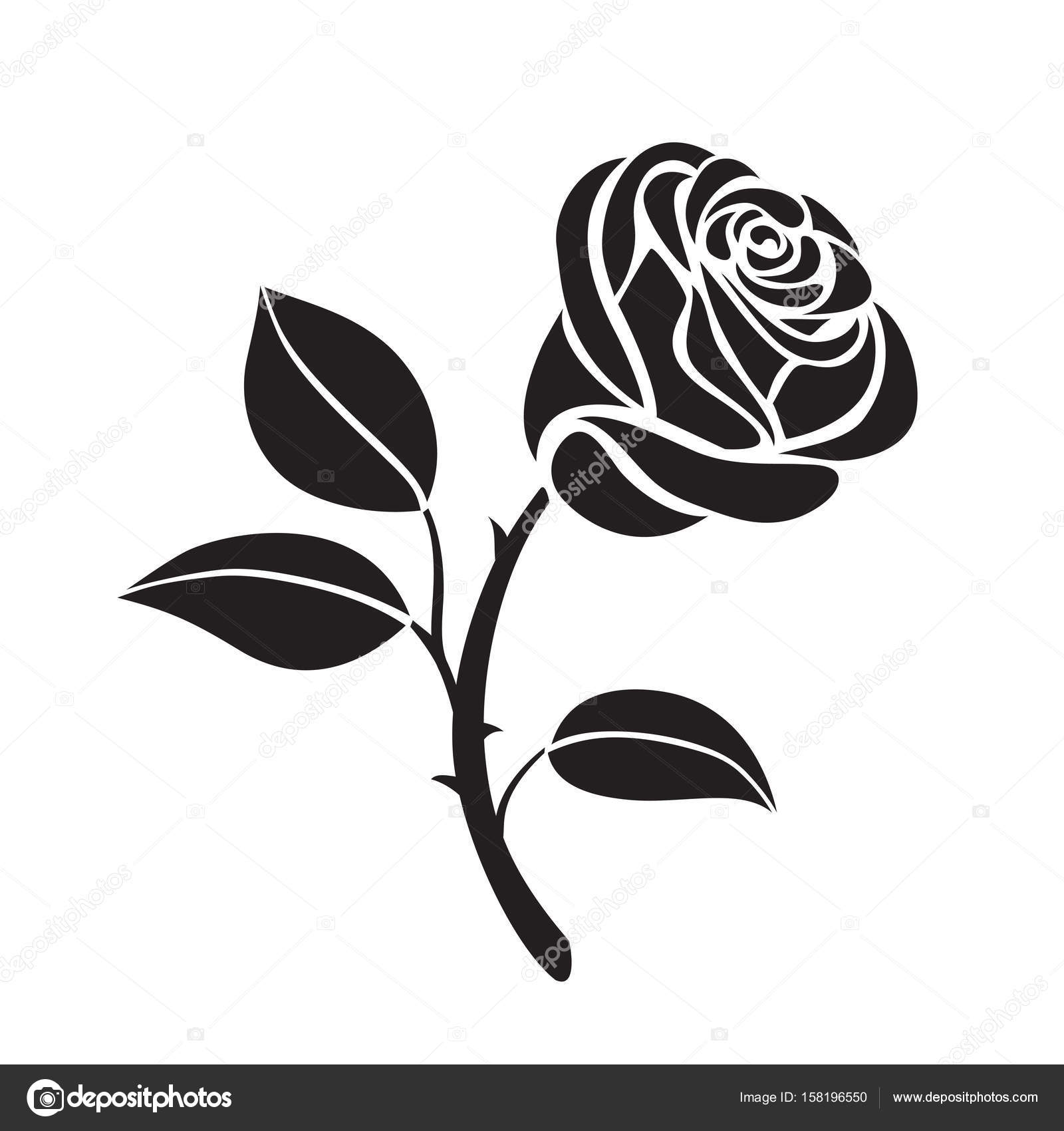 Rose Flower Vector Black And White