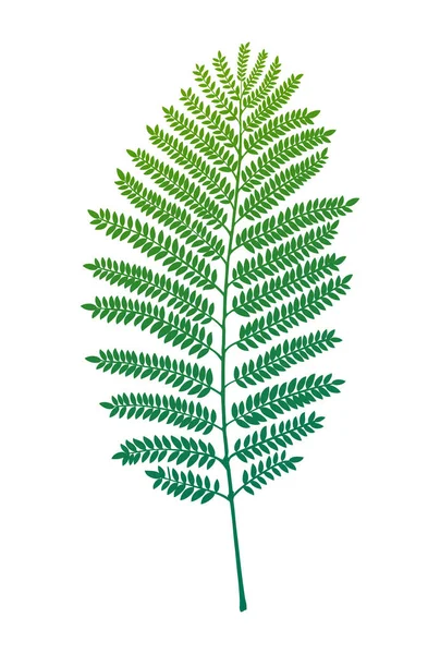 Fern vector blad — Stockvector