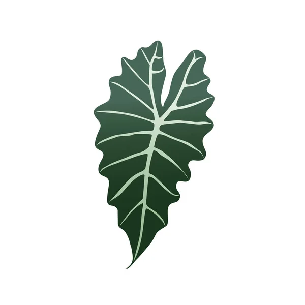 Hoja vectorial tropical — Vector de stock