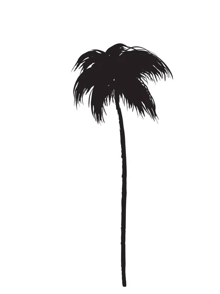 Icono de palmera sobre fondo blanco — Vector de stock