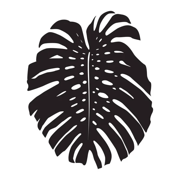 Hoja de Monstera — Vector de stock