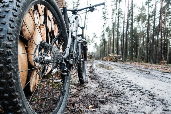 Bicicleta de montaña en bosque húmedo caída lodo — Foto de Stock