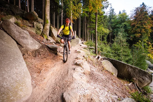 秋の森で自転車に乗る山のバイカー — ストック写真