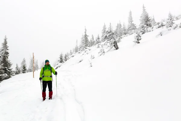 Winter hiker in white snowy woods trekking with hiking sticks — Stockfoto