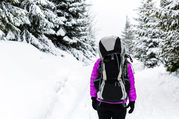 Mulher caminhando em bosques de inverno com mochila — Fotografia de Stock
