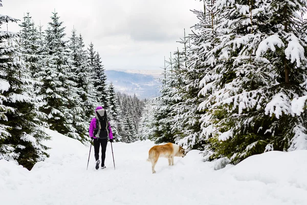 Caminhadas de mochileiros caminhando na floresta de inverno com cão — Fotografia de Stock