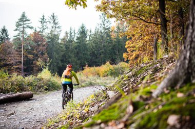 Sonbahar ormanda bisiklet sürme Mountainbiker