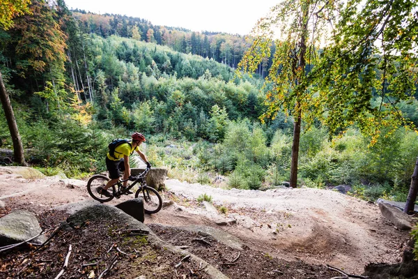 秋の森で自転車に乗る山のバイカー — ストック写真