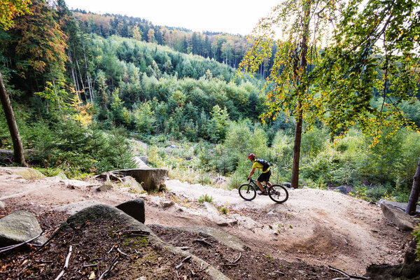 Велосипедные прогулки в осеннем лесу
