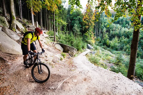 Mountain biker andar de bicicleta na floresta de outono — Fotografia de Stock