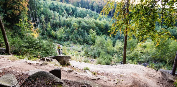 Sonbahar ormanda bisiklet sürme Mountainbiker — Stok fotoğraf