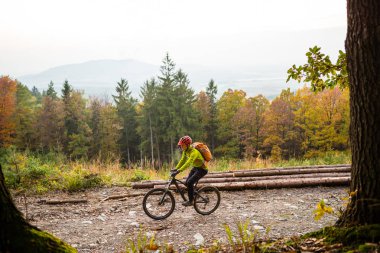 Sonbahar ormanda bisiklet sürme Mountainbiker