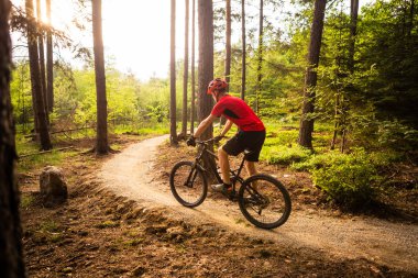 Dağ bisikletçinin yaz ormanda bisiklet sürme