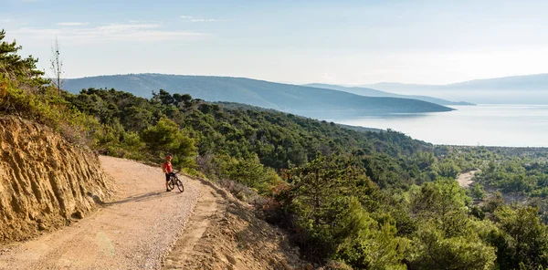 Dağ bisikletçinin panoramik ilham verici manzara bisiklet sürme — Stok fotoğraf