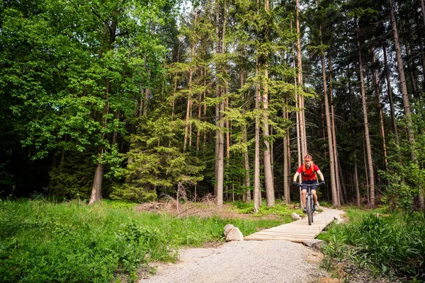 Mountainbiker paardrijden fietsen in zomer bos — Stockfoto