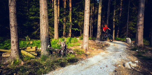 Mountainbiker paardrijden fietsen in zomer bos — Stockfoto