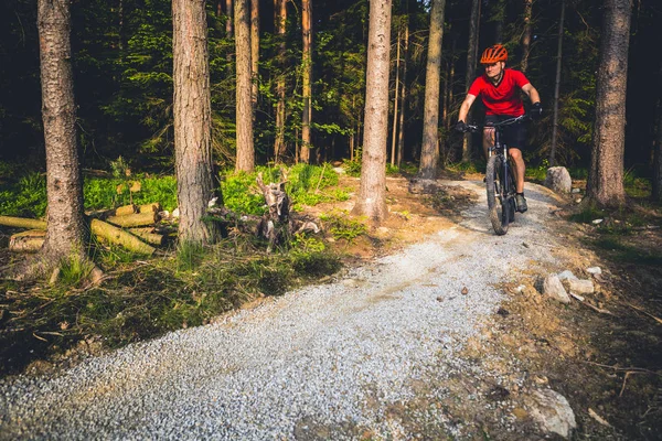 夏の森で自転車に乗る山のバイカー — ストック写真