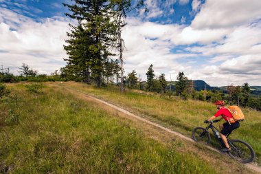 MTB dağlar ve ormanlar içinde sürme Mountainbiker