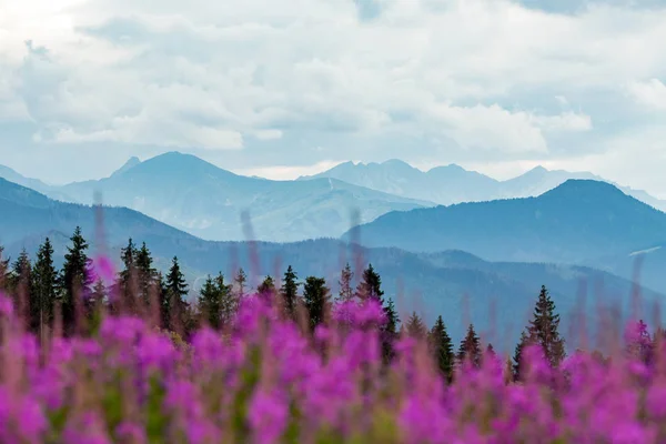 Montanhas inspiradoras Paisagem, belo dia de verão em Tatras, P — Fotografia de Stock