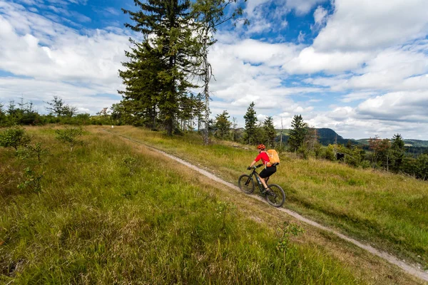 Cavaliere in Mountain Bike a cavallo tra boschi e montagne — Foto Stock