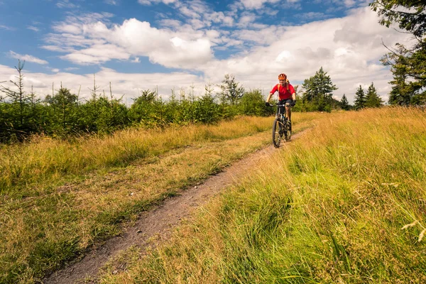 Mountain bike in bicicletta tra montagne e boschi — Foto Stock