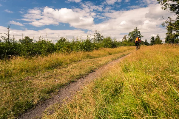 山や森の中でマウンテン バイク サイクリング乗馬 — ストック写真