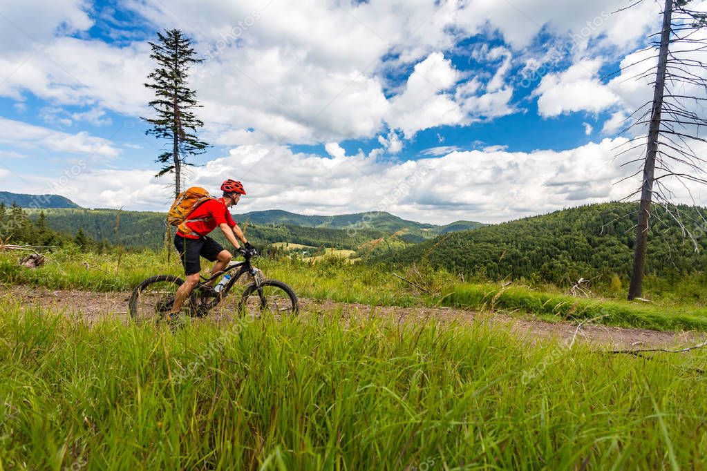 Mountain biking man riding in woods and mountains