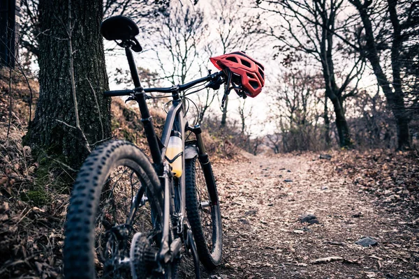 Bicicleta de montaña y casco en bosques de otoño — Foto de Stock