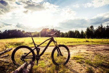 Dağ bisikleti Mtb yeşil yaz orman yolu, ilham verici la üzerinde