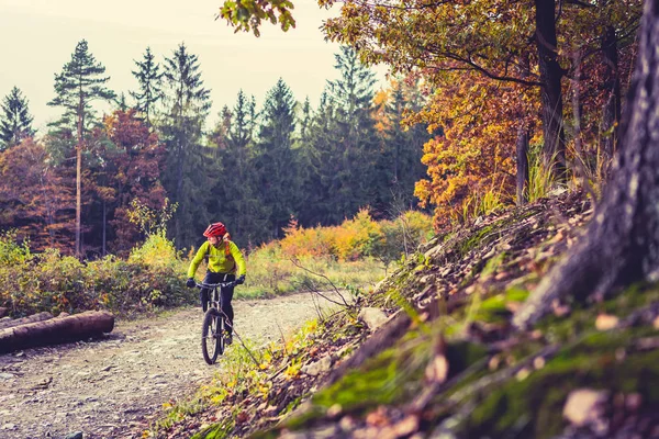 Mountain biker riding cycling in autumn forest — Stock Photo, Image
