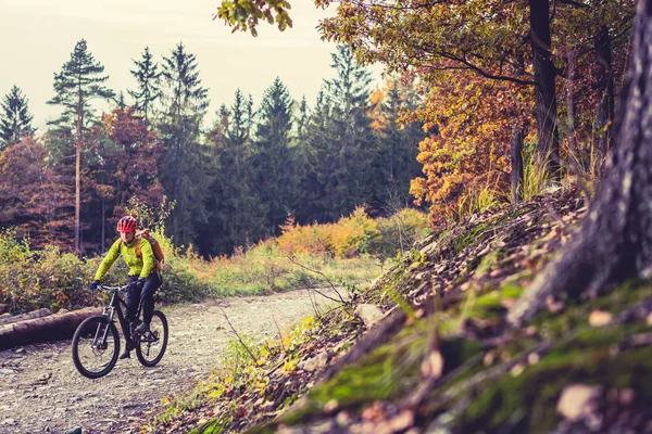 山地自行车骑自行车在秋天的树林 — 图库照片