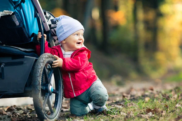 Baby boy playing in autumn forest with stroller, outdoors fun — Stock Photo, Image