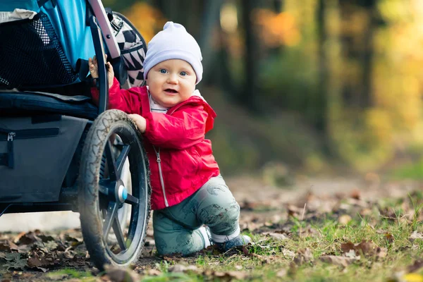 Baby boy playing in autumn forest with stroller, outdoors fun — Stock Photo, Image