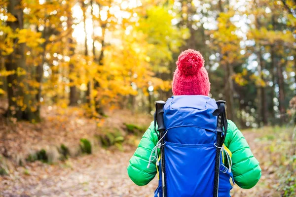 Hiking woman with backpack looking at inspirational autumn gold — Stock Photo, Image