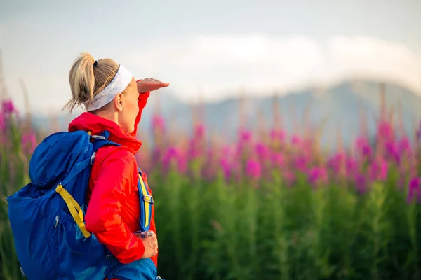 女人在山脉、 探险和旅行徒步旅行 — 图库照片