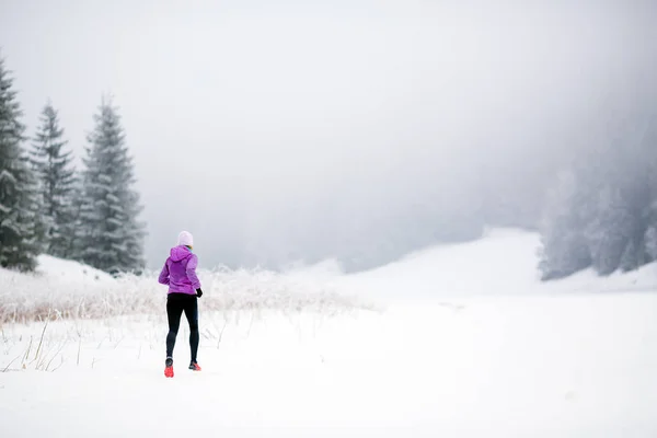 Trail futó nő téli hegyekben — Stock Fotó