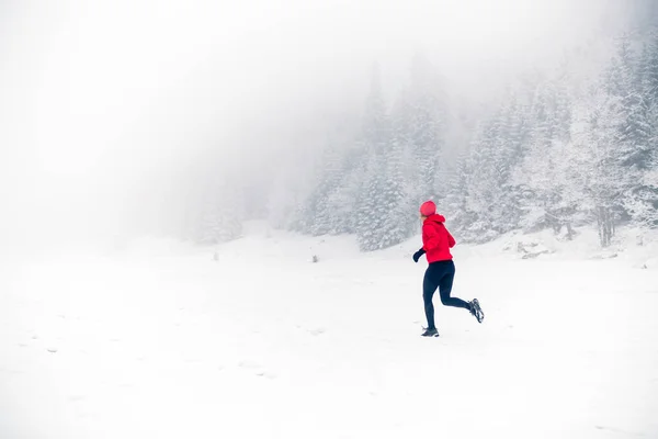 Meisje trail uitgevoerd op sneeuw in de bergen van de winter — Stockfoto