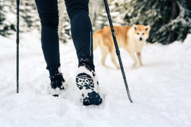 Kadın backpacker akita köpek ile beyaz kış ormanda hiking. Bacakları ve trekking botları. Rekreasyon fitness ve sağlıklı yaşam tarzı açık havada doğa. Motivasyon ve ilham verici kış manzarası.