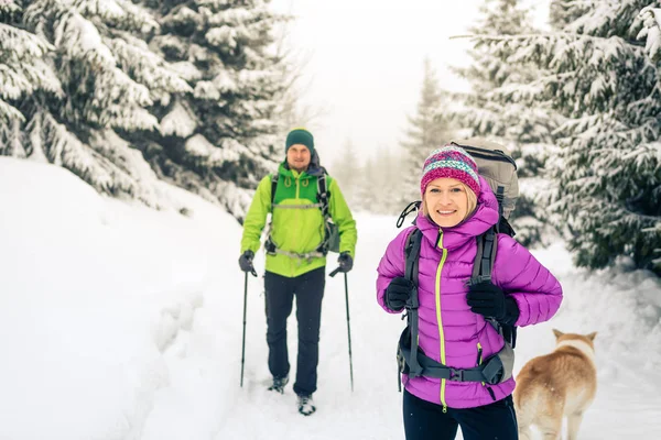 Praca Zespołowa Szczęśliwy Para Turystów Trekking Biały Zima Lasy Góry — Zdjęcie stockowe