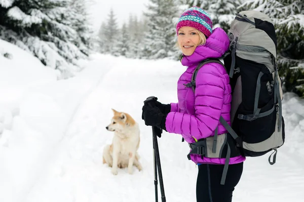 Akita Köpek Ile Beyaz Kış Orman Ormanda Hiking Kadın Rekreasyon — Stok fotoğraf