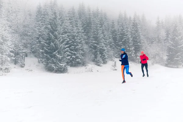 Lányok Fut Össze Havas Téli Hegyek Sport Fitnesz Ihletet Motivációt — Stock Fotó