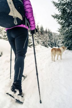 Kadın ile köpek kış ormanda yürüyüş